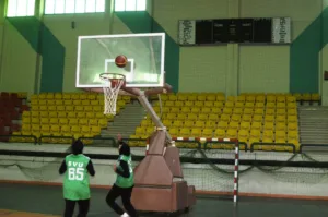 553762ce 537c 49d3 820c a2487e784946