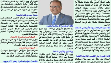 سوريا وماذا تبقى؟ قراءة معمقة في المؤامرة العالمية على الوطن العربي وخاصة مصر