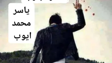 FB IMG 1733964460528