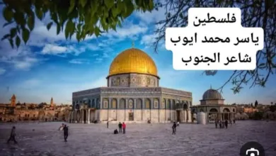 FB IMG 1734621502236