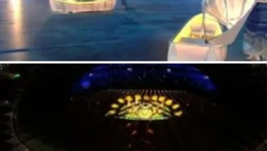 Screenshot ٢٠٢٤ ١٢ ٢٢ ٠٦ ٢٦ ٤٢ ٥٠ a23b203fd3aafc6dcb84e438dda678b6