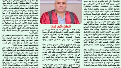 الدكتور أشرف زيدان يكتب عن : “جمال الجزيري” رائد الومضة القصصية في مصر