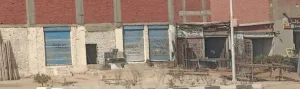 IMG20250123112337