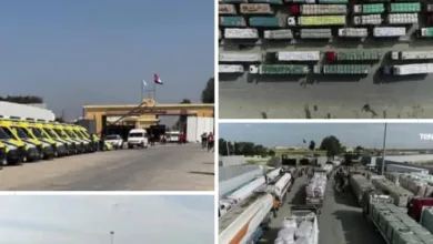 Screenshot ٢٠٢٥ ٠١ ٢٠ ١١ ٠١ ٠٤ ٢٦ a23b203fd3aafc6dcb84e438dda678b6