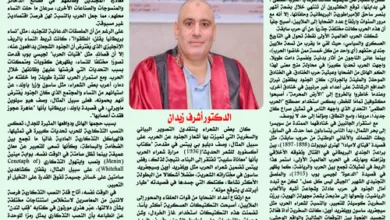 الدكتور أشرف زيدان يكتب عن : تمثيل الحرب العظمى