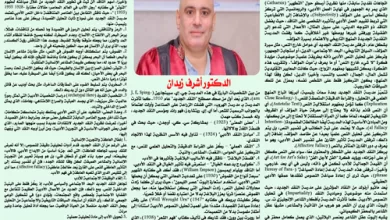 النقد الجديد