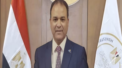 الدكتور ناصر الجندي يكتب : تحرير سيناء: ملحمة شعب لا ينسى