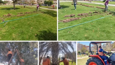 Screenshot ٢٠٢٥ ٠٥ ١٨ ٠٦ ١٥ ٥٨ ٧٦ a23b203fd3aafc6dcb84e438dda678b6