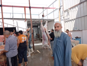 IMG20250606105253