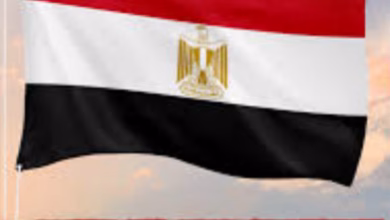 InShot ٢٠٢٥٠٦٢٤ ٠٧٠٧٣٨٥٦١