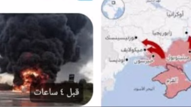 Screenshot ٢٠٢٥ ٠٦ ٠٢ ٠١ ١٥ ٢٣ ٣٠ a23b203fd3aafc6dcb84e438dda678b6