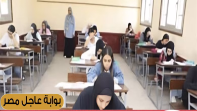 الخبير التربوي الدكتور ناصر الجندي يكتب أزمة الثانوية العامة: كشف المستور وإعادة التفكير (1)