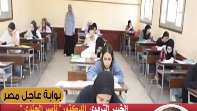 الخبير التربوي الدكتور ناصر الجندي يكتب "أزمة الثانوية العامة: كشف المستور وإعادة التفكير" (16)