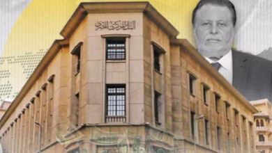 InShot ٢٠٢٥٠٧٠٨ ١٦٤٧١٥١٠٨ 4