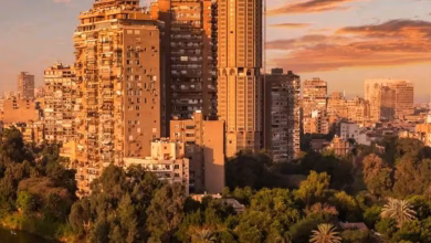 InShot ٢٠٢٥٠٧١٤ ٠٨١٤٥١٨١٦