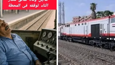 Screenshot ٢٠٢٥ ٠٧ ٠٥ ١٣ ٠٤ ٣٠ ١٧ f598e1360c96b5a5aa16536c303cff92