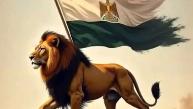 مصر شامخة لا تنحني 1 1758133696333