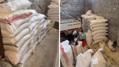 Screenshot ٢٠٢٥ ٠٩ ٢٩ ٠٣ ٤١ ٢٣ ٩٠ a23b203fd3aafc6dcb84e438dda678b6