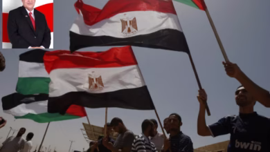 InShot ٢٠٢٥١٠٠٩ ٢٢٤٩٣٦٦٩٧