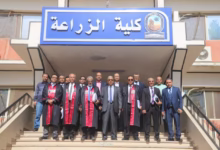 مناقشة رسالة ماجستير بكلية الزراعة بجامعة قنا حول تحسين إنتاجية الكوسة 30 6c18107d a7d3 4b5b abaf 74ee5e8d641c