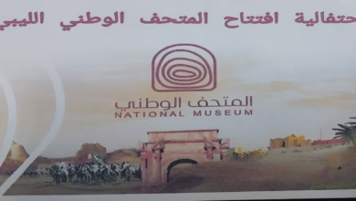 IMG 20251208 WA0144
