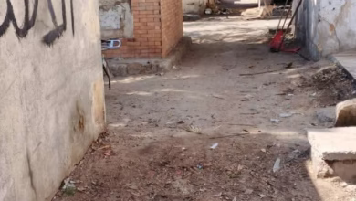 حملة نظافة مكبرة بمقابر الشهداء بحي ثانِ الإسماعيلية لرفع المخلفات 1 FB IMG 1771769115172