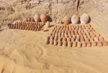 اسوان تكشف عن كنوزها بمجموعة من المقابر الصخرية بقبة الهواء 60 IMG 20260222 WA0171