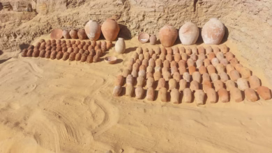 اسوان تكشف عن كنوزها بمجموعة من المقابر الصخرية بقبة الهواء 54 IMG 20260222 WA0171