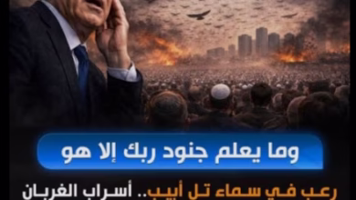 IMG ٢٠٢٦٠٣٢٦ ١٧٤٨٤٥
