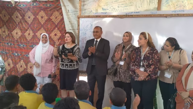 3ba06572 cccf 4748 ade7 68c06e159aed